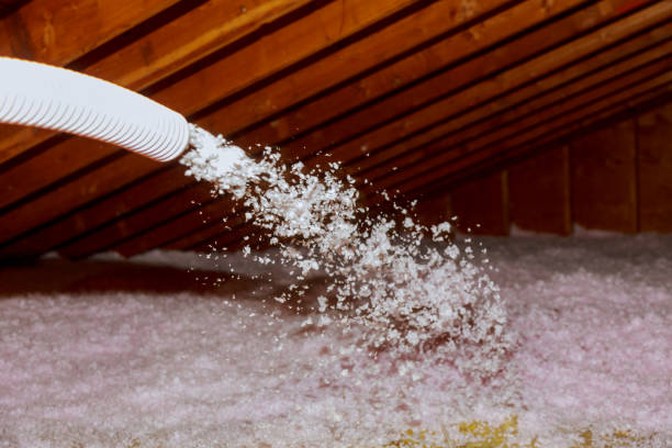 Best Affordable Insulation Services  in Plymouth Meeting, PA