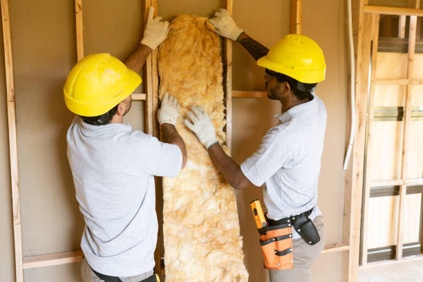 Best Insulation Repair Services  in Plymouth Meeting, PA